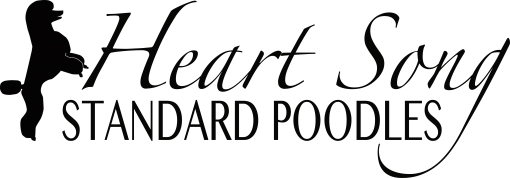 Heart Song Standard Poodles